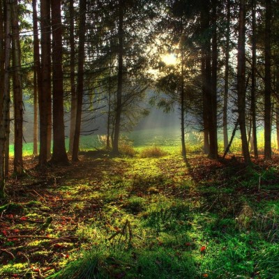 1920 x 1080 HD Wallpapers 2050